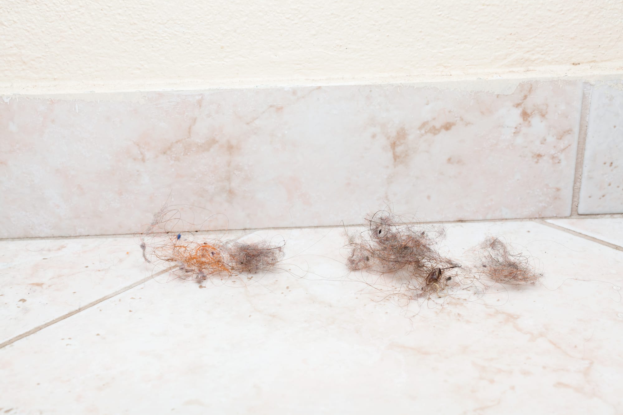 Dirty Corners, Dust Bunnies and Barnacles: Why We Never Stop Scrubbing